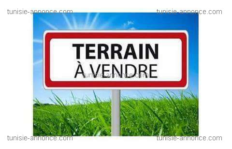 Vente Maisons - Tunisie