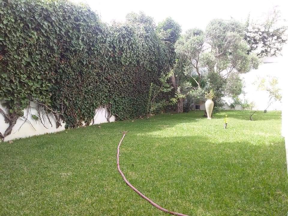 Vente Maisons - Tunisie
