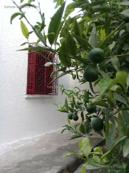 Sousse Ville Sousse Vente Maisons Villa avec jardin