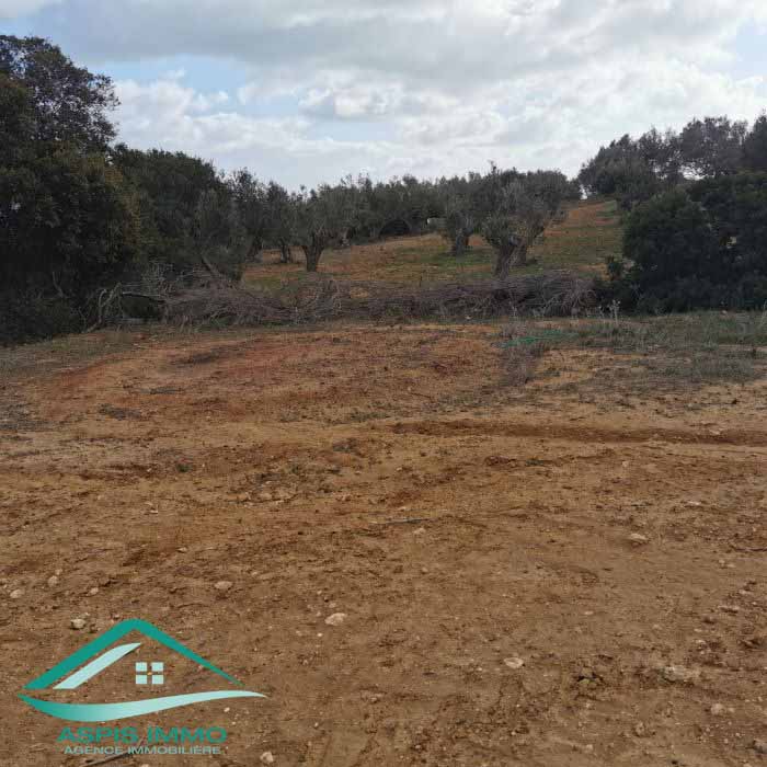 Hammam El Ghezaz Ezzahra Vente Surfaces Terrain 440 m2  ezahra kelibia