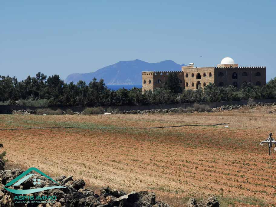 El Haouaria Sidi Daoud Vente Surfaces Terrain agricole  sidi daoued hawaria