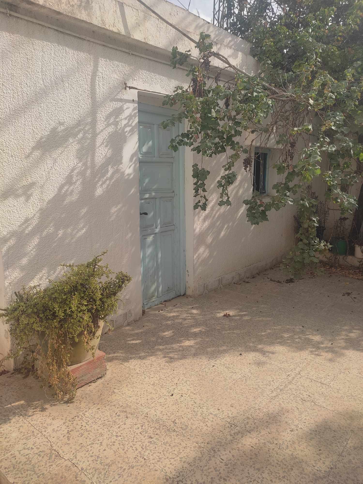 Vente Maisons - Tunisie
