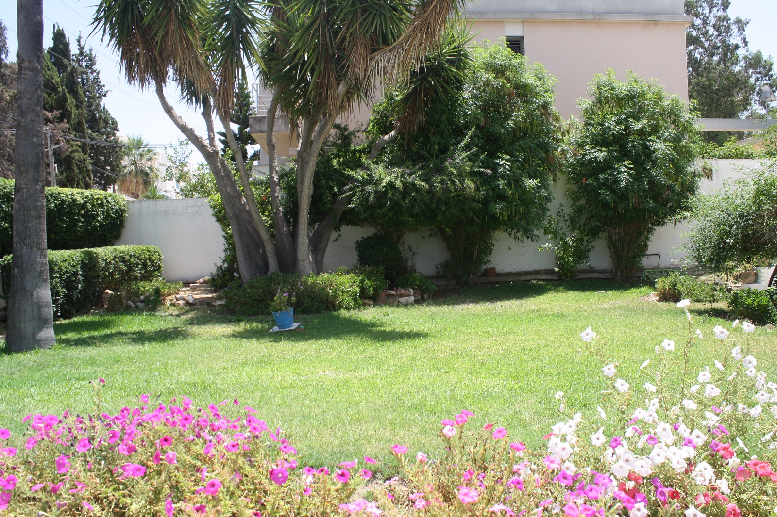 Vente Maisons - Tunisie