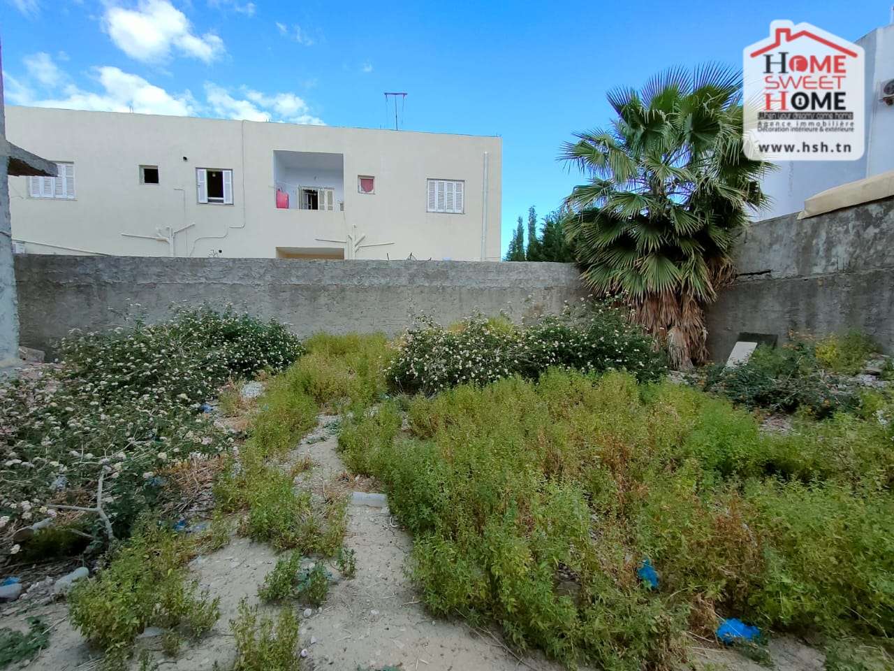 Vente Surfaces - Tunisie