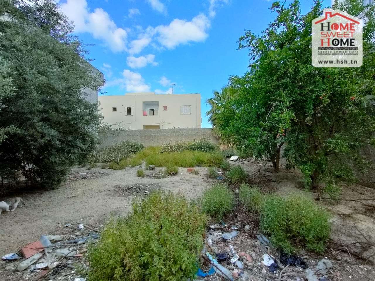 Bou Mhel El Bassatine Bou Mhel Vente Surfaces Terrain invest calisto  boumhal el bassetine