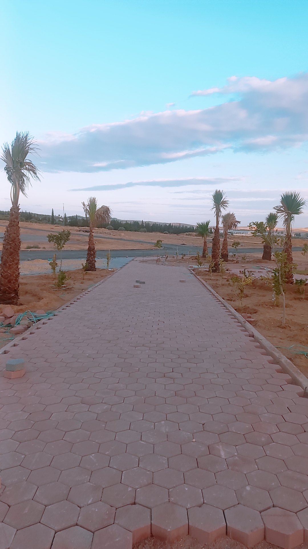 Vente Surfaces - Tunisie