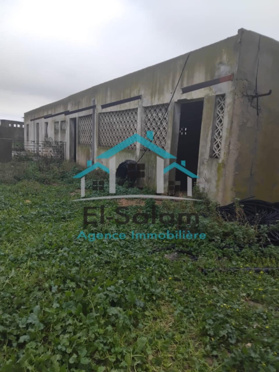 El Haouaria El Kedoua Vente Maisons 1000m2 avec un maison arab