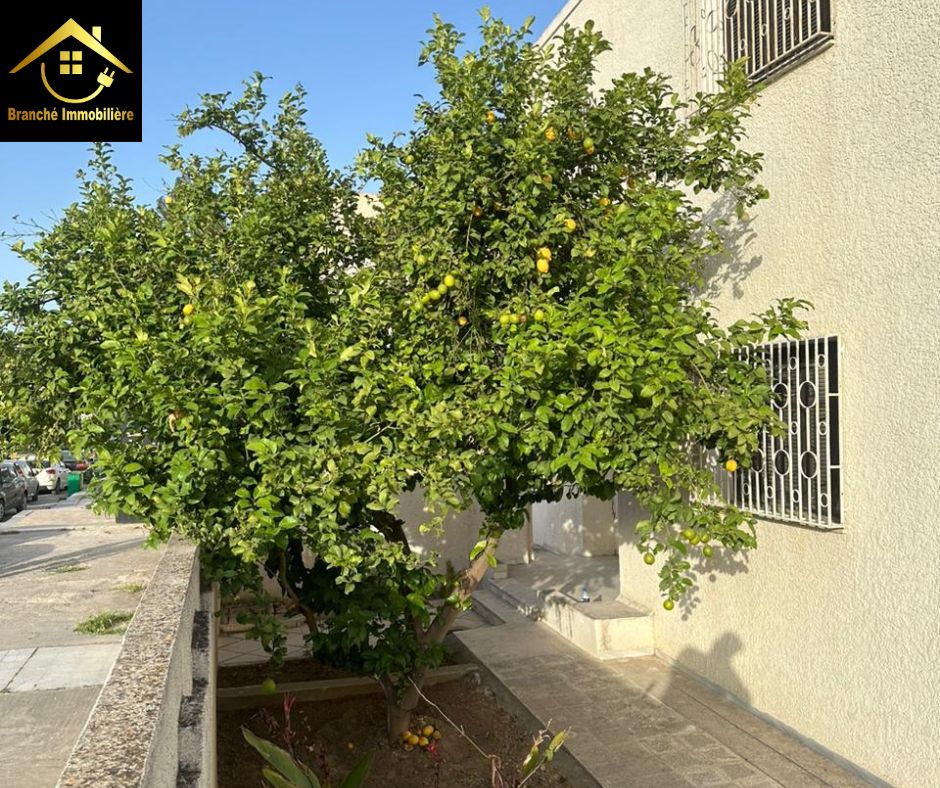 El Menzah El Manar 2 Vente Maisons Une villa sur un artre principal  manar 2