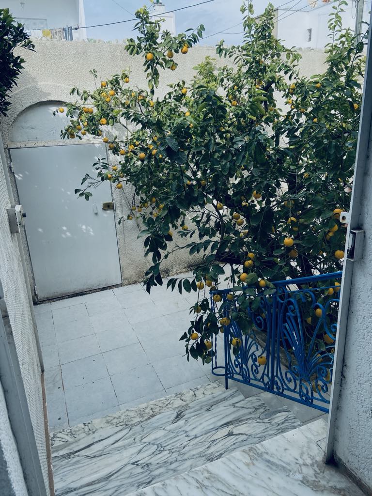 Le Bardo Le Bardo Vente Maisons Villa meubl avec trois studio