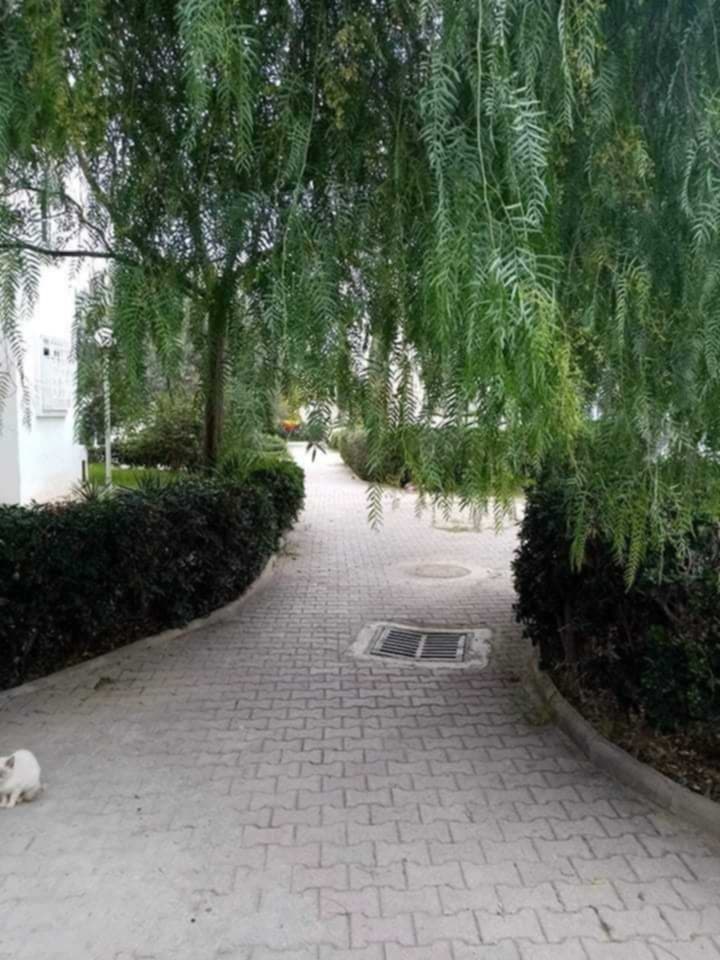 La Soukra Borj Louzir Vente Appart. 2 pices Un appartement s2  borj louzir