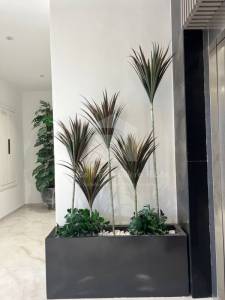 Sousse Ville Cite Boukhzar Vente Appart. 1 pice A   un appartement s2 direct ref730a