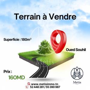Vente Surfaces - Tunisie