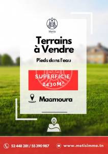 Vente Surfaces - Tunisie