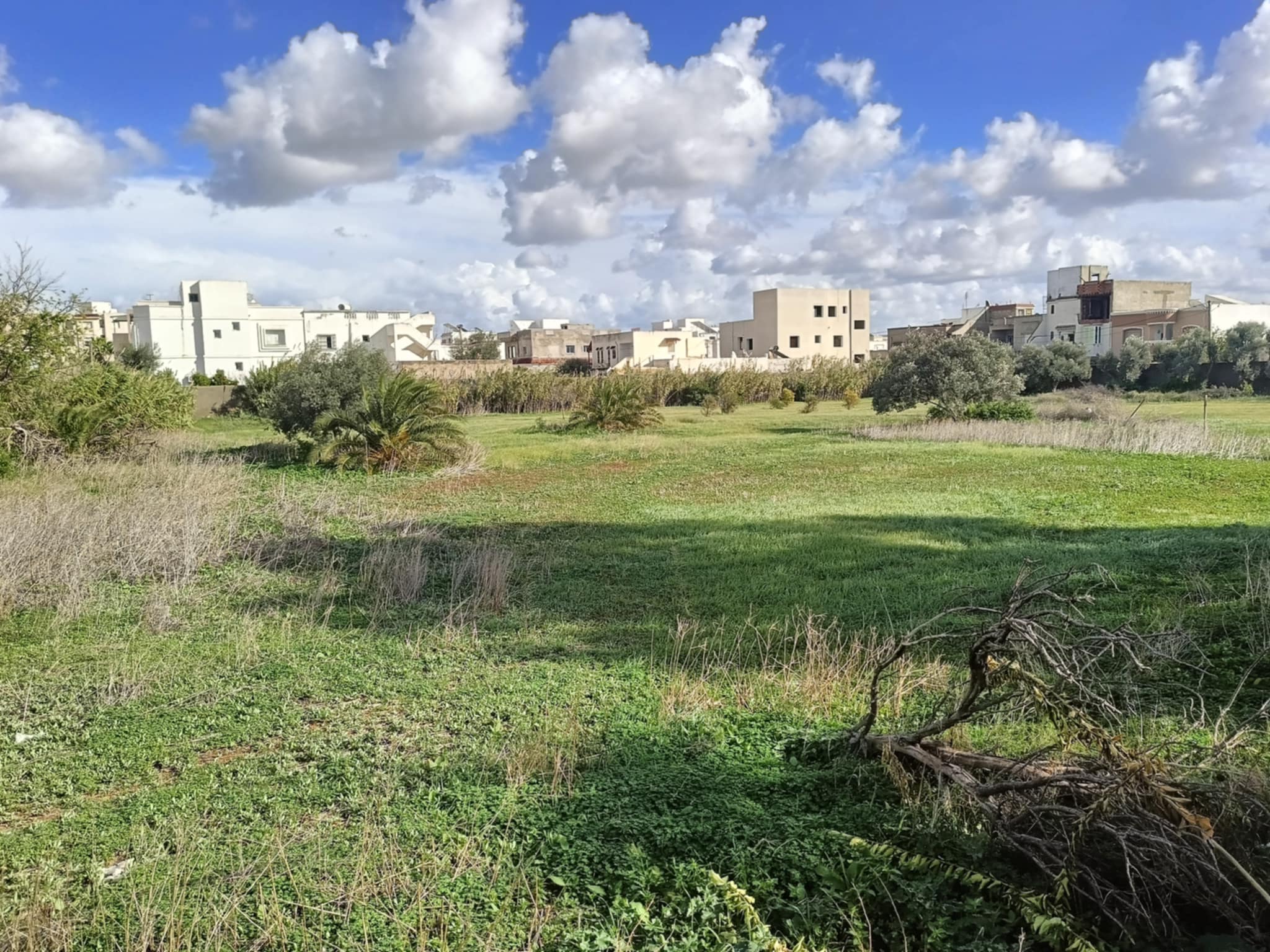 Vente Surfaces - Tunisie