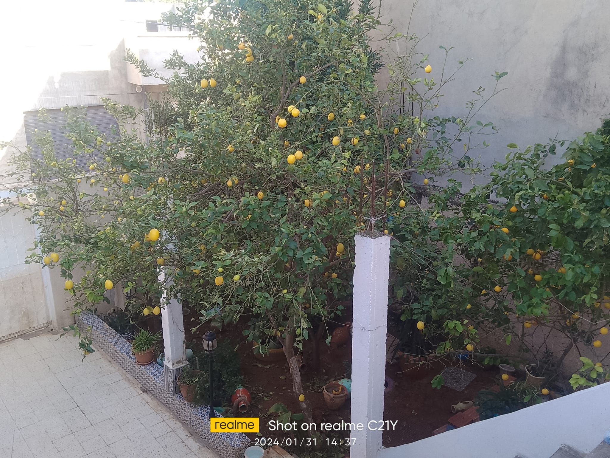 Vente Maisons - Tunisie