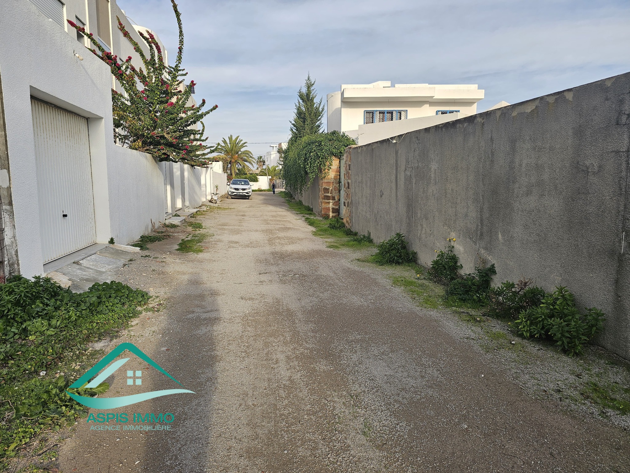 Kelibia Kelibia Vente Surfaces Terrain 244 m2  petit paris kelibia