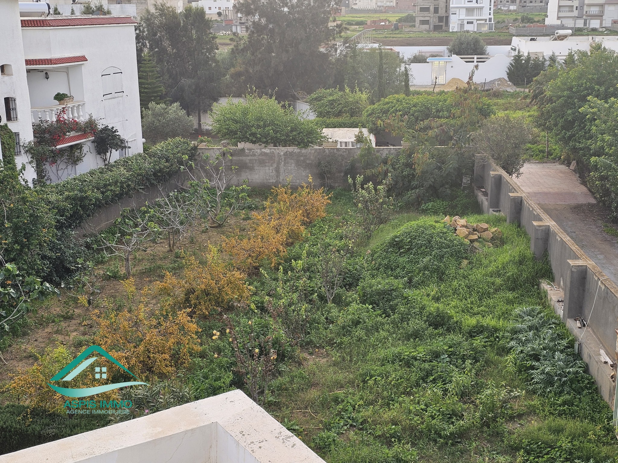 Kelibia Kelibia Vente Surfaces Terrain 244 m2  petit paris kelibia