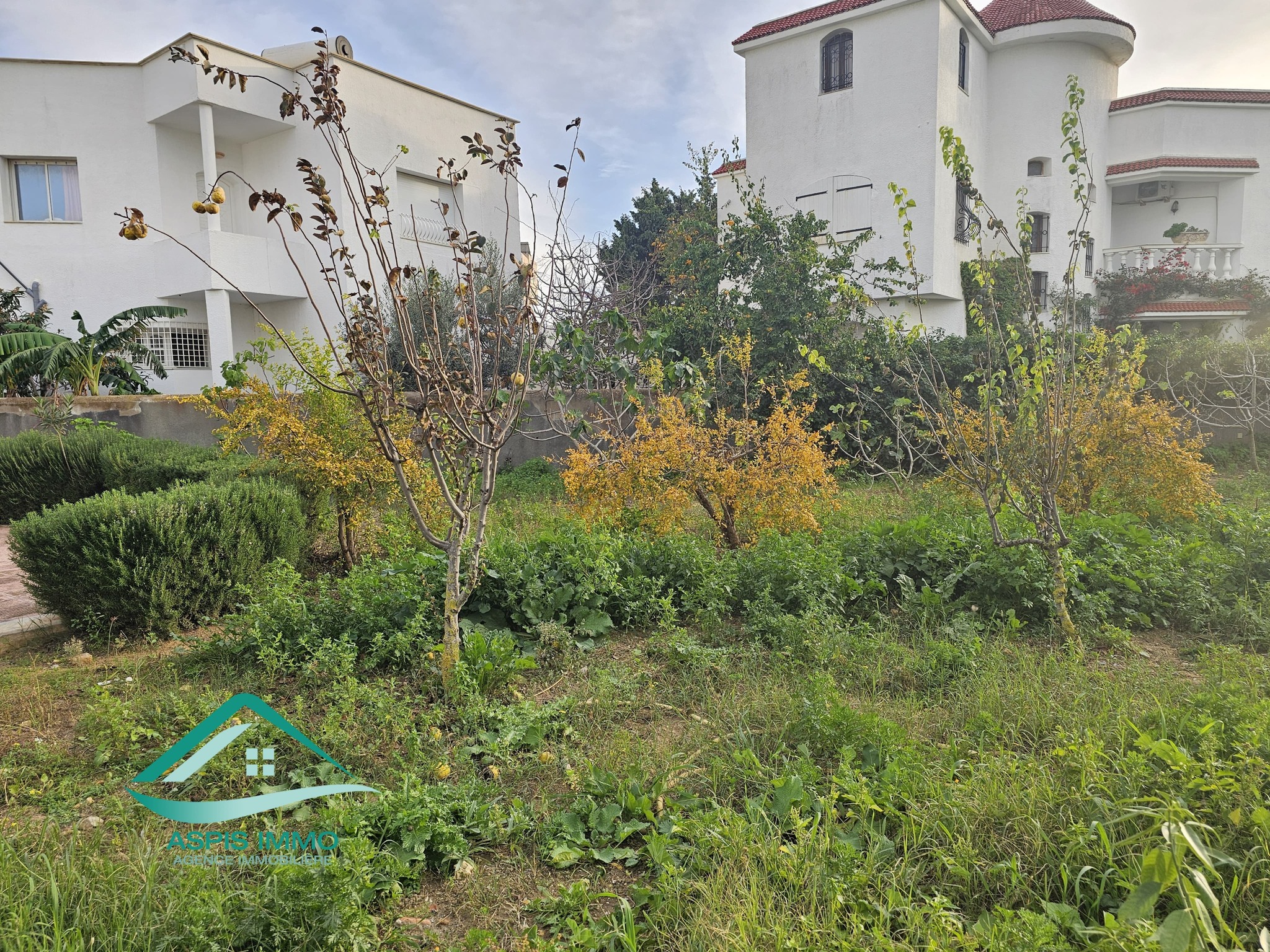 Vente Surfaces - Tunisie