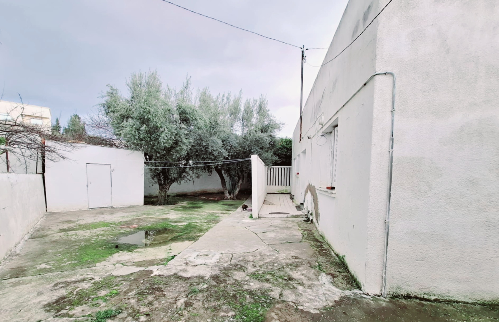 Vente Maisons - Tunisie