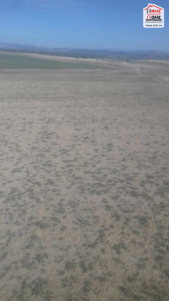 Sakiet Sidi Youssef&nbsp;Farchen&nbsp;Vente&nbsp;Surfaces&nbsp;Un terrain agricole � sakit sidi youssef au kef