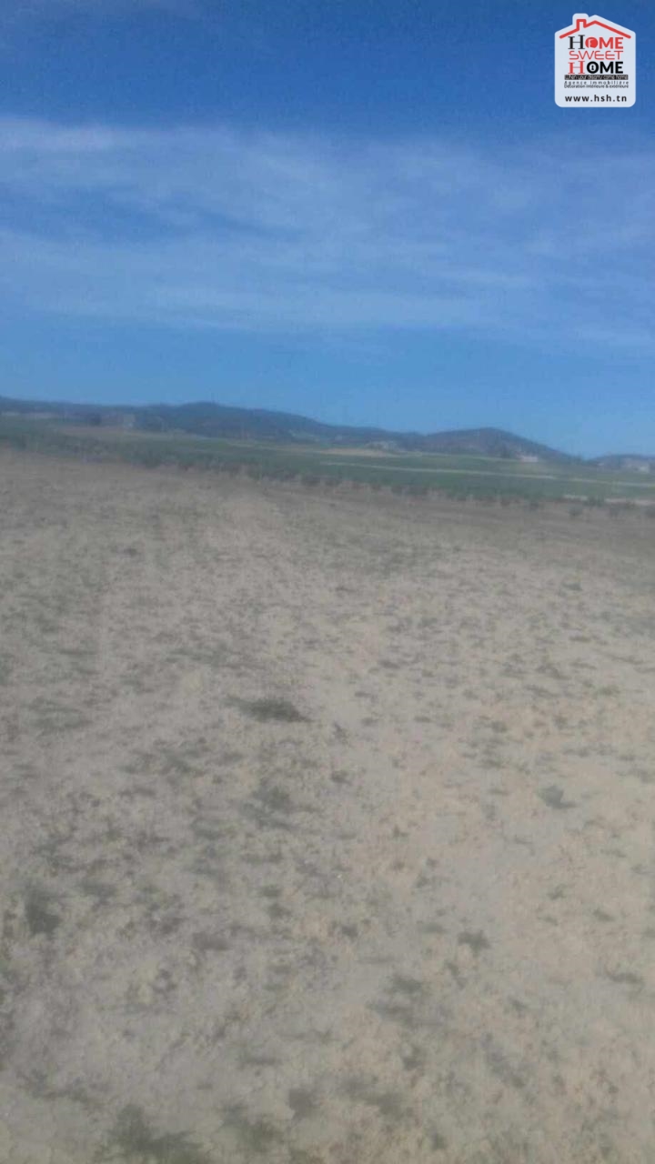Sakiet Sidi Youssef&nbsp;Farchen&nbsp;Vente&nbsp;Surfaces&nbsp;Un terrain agricole � sakit sidi youssef au kef