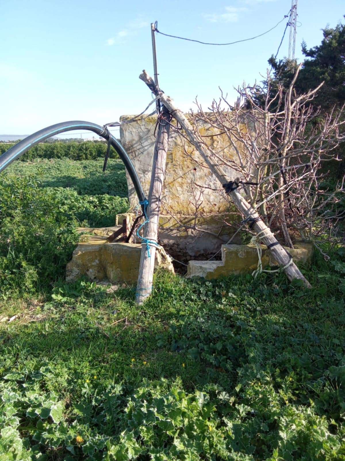 El Haouaria El Haouaria Vente Maisons Hectar et 3000m2 avec un puit et electrcit