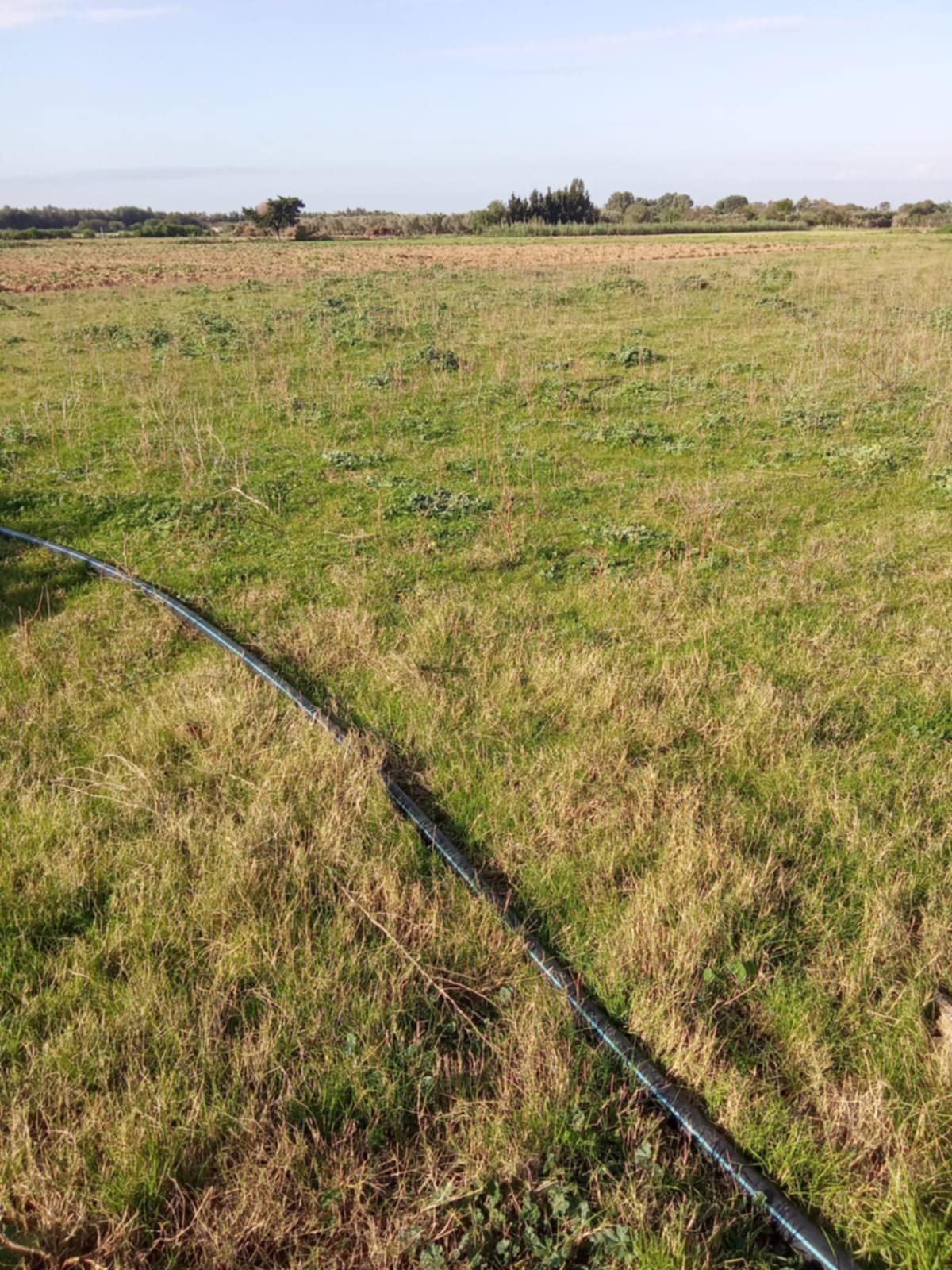 El Haouaria El Haouaria Vente Maisons Hectar et 3000m2 avec un puit et electrcit