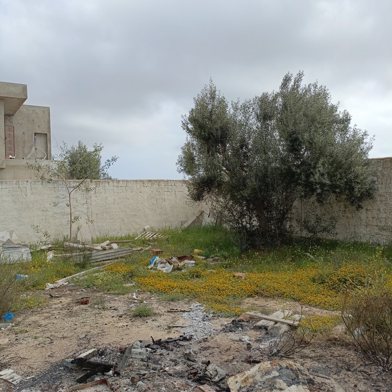 Vente Maisons - Tunisie
