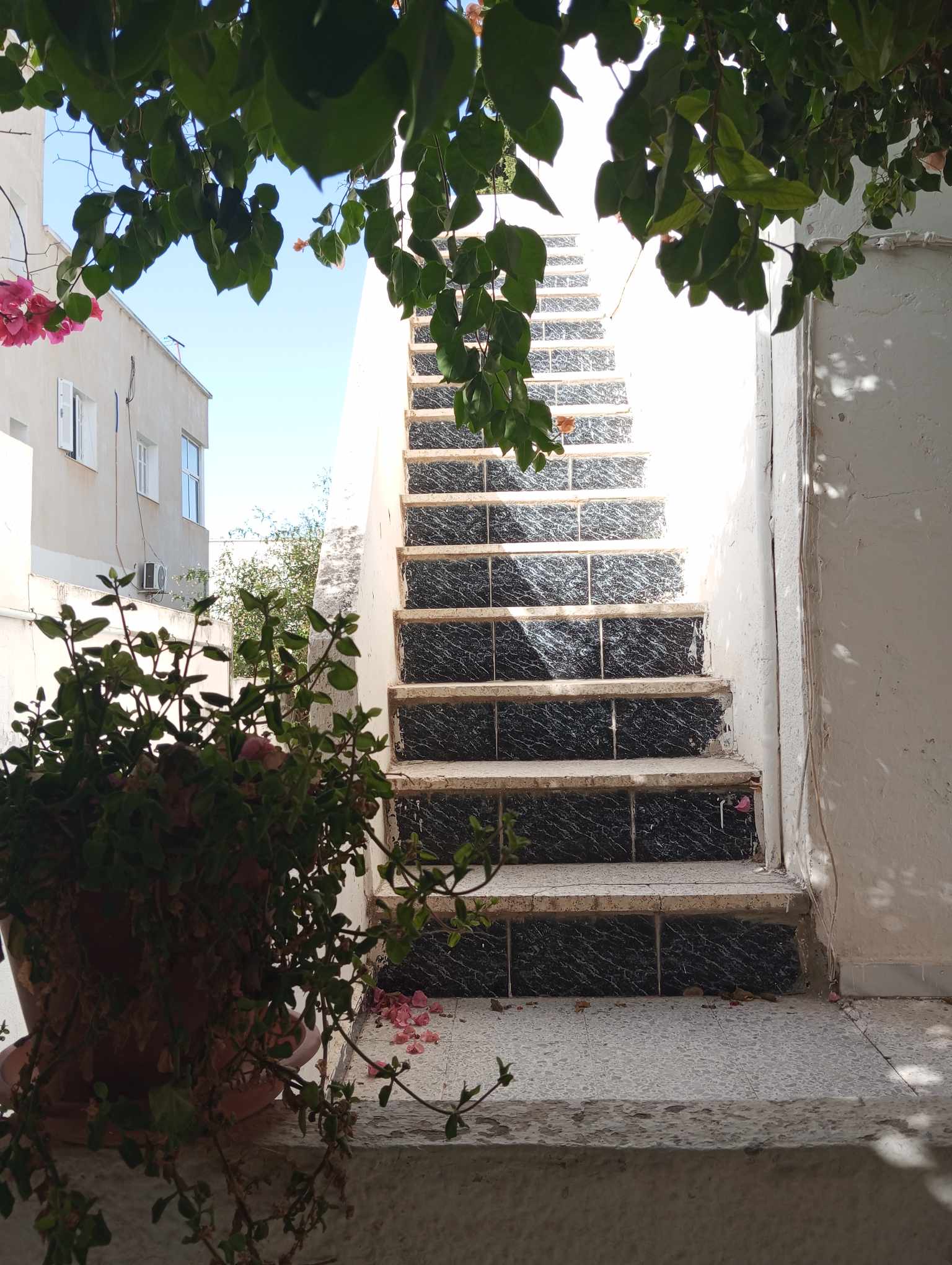 Vente Maisons - Tunisie