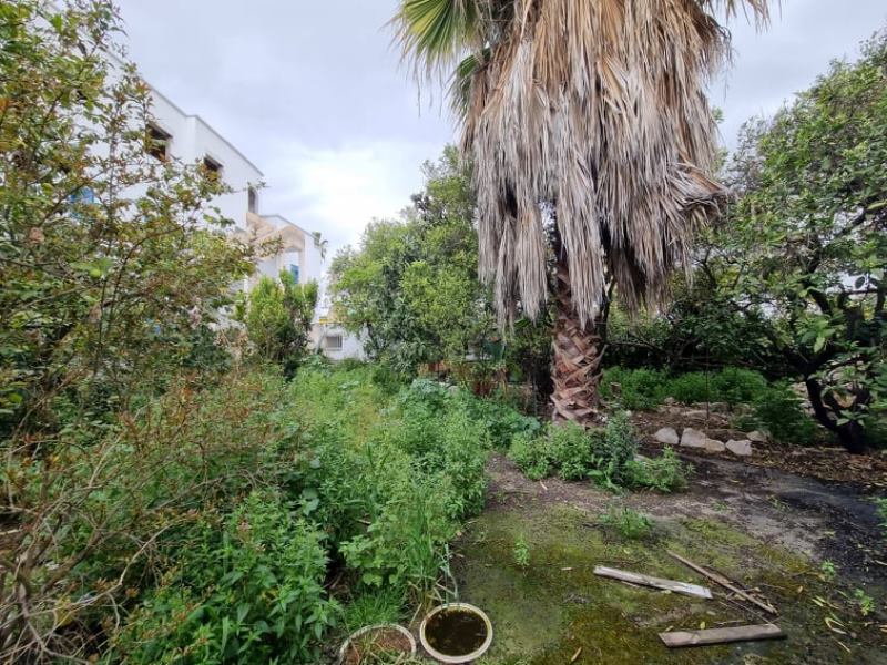 Vente Maisons - Tunisie