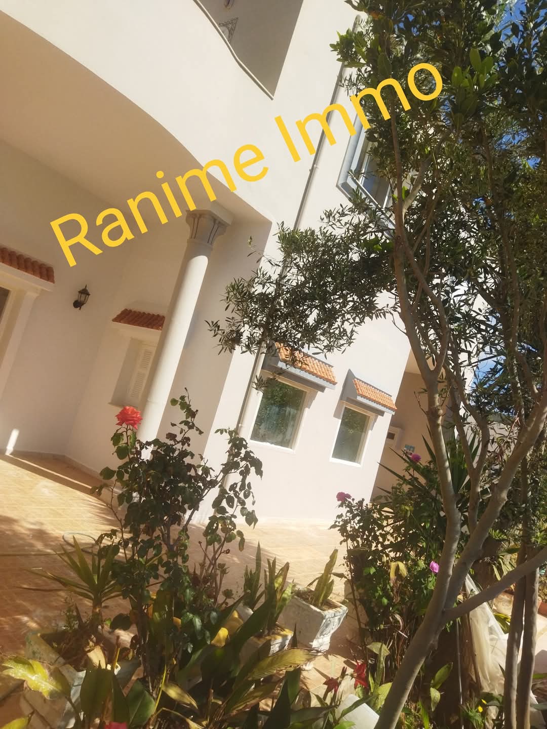 Vente Maisons - Tunisie
