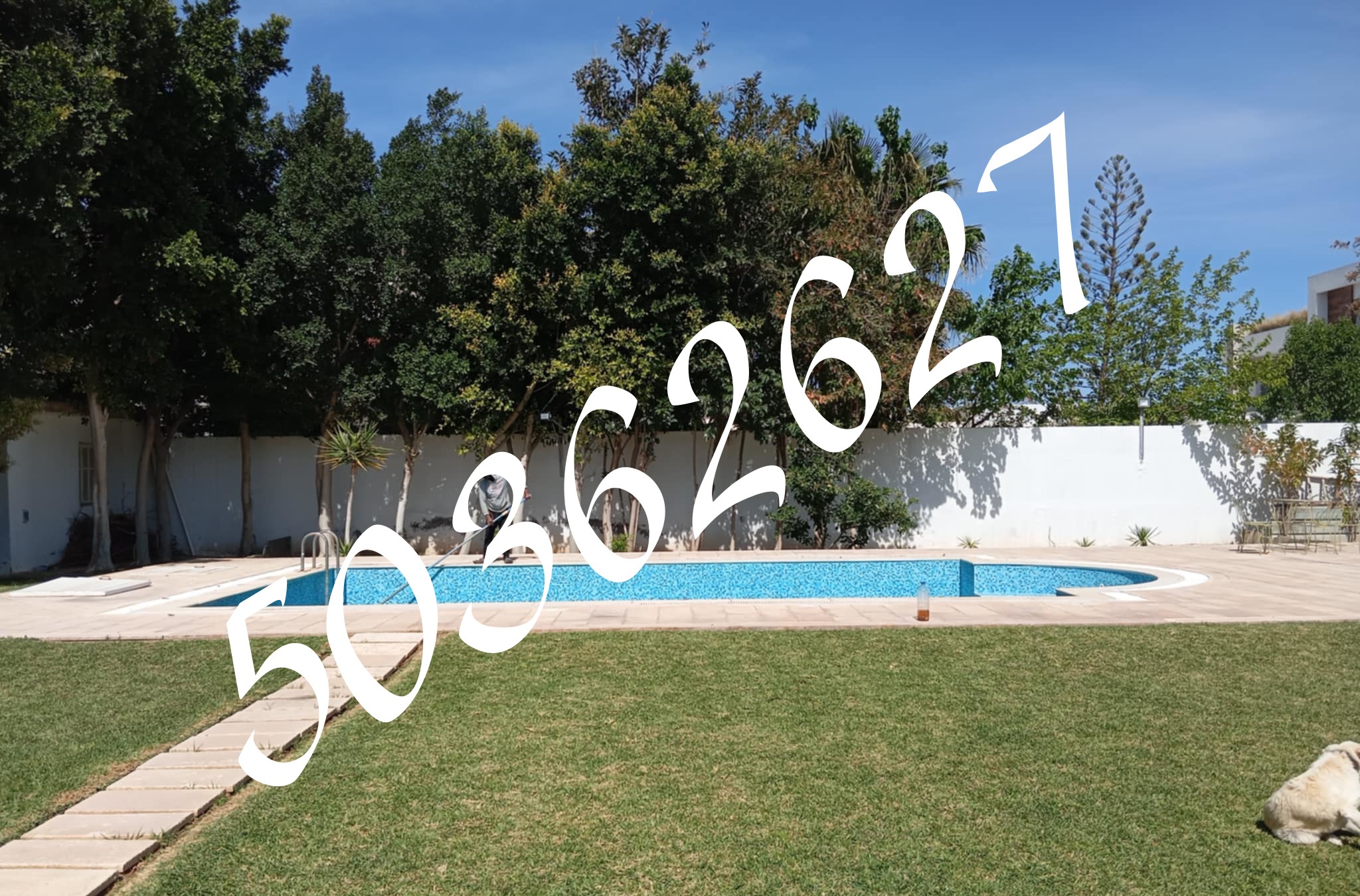 Vente Duplex - Tunisie