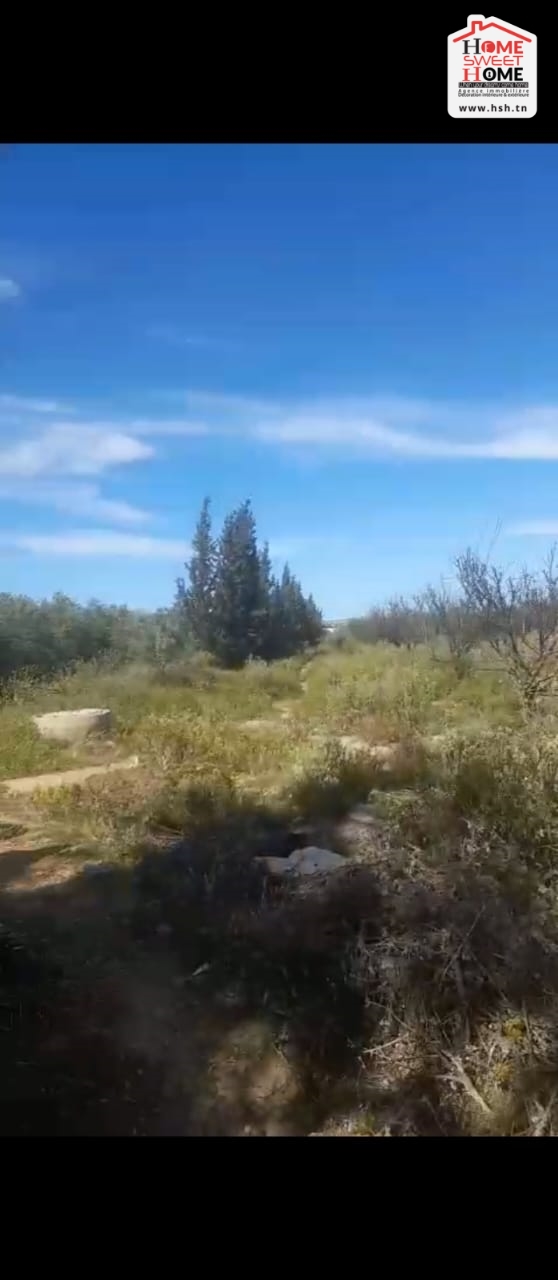 Mejez El Bab Mejez El Bab Vente Surfaces Terrain agricole frutta   bja