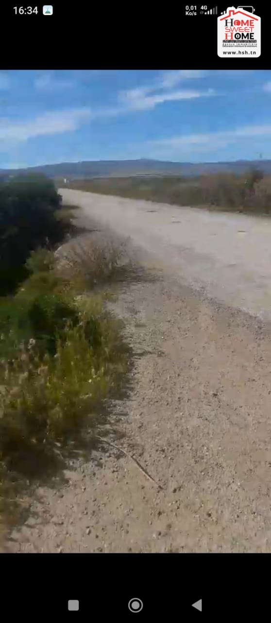 Mejez El Bab Mejez El Bab Vente Surfaces Terrain agricole frutta   bja