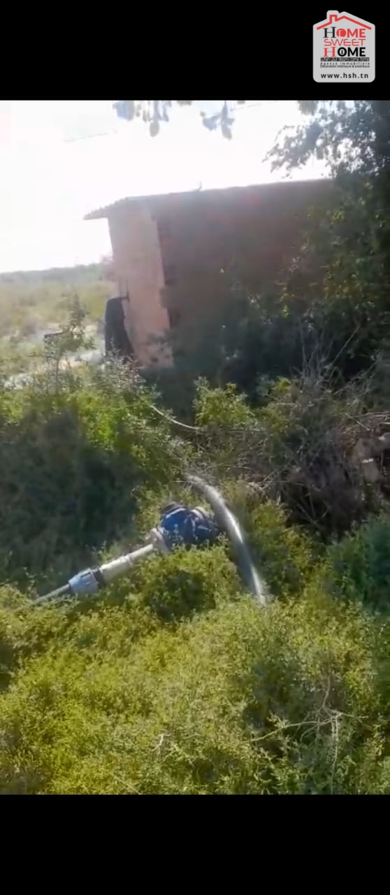 Mejez El Bab Mejez El Bab Vente Surfaces Terrain agricole frutta   bja