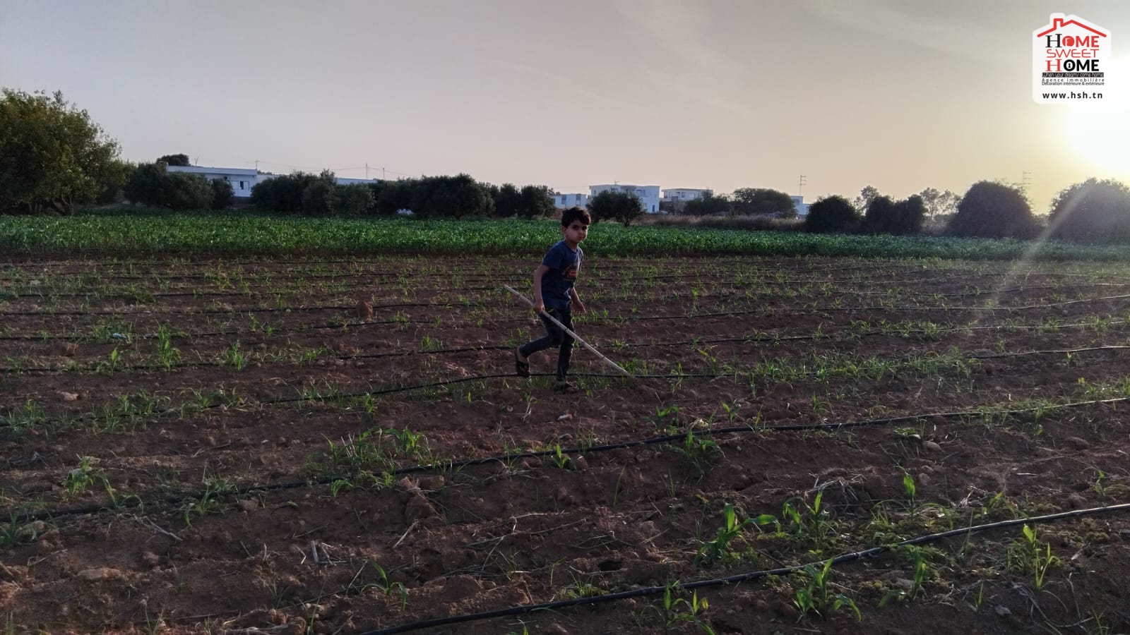 Vente Autre - Tunisie
