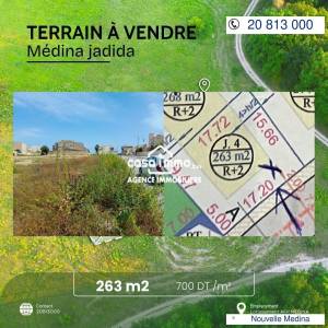 Vente Surfaces - Tunisie