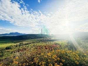 Zaghouan Zaghouan Vente Surfaces Ferme de 20 hectares  zaghouan a ref213a