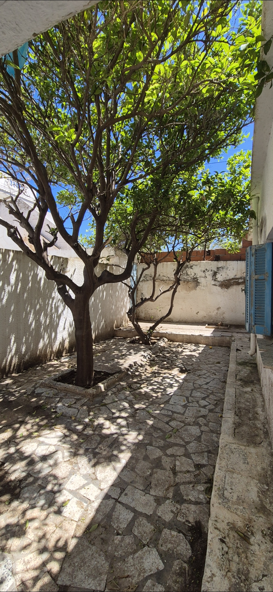 Hammam Lif Bou Kornine Vente Surfaces Terrain  bougarnin