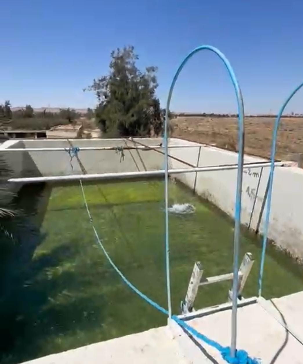 Gabes Sud Teboulbou Vente Surfaces Titre bleu 33