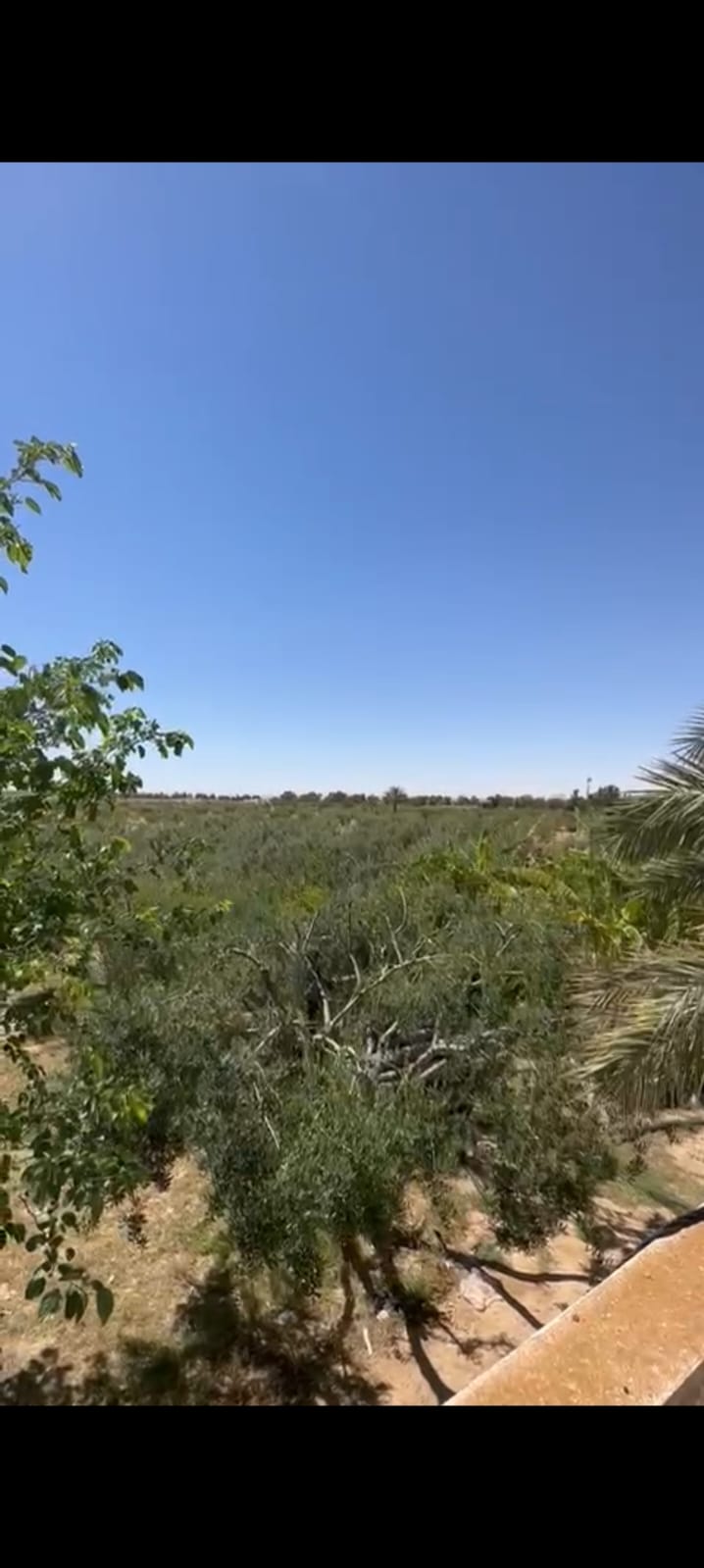 Gabes Sud Teboulbou Vente Surfaces Titre bleu 33