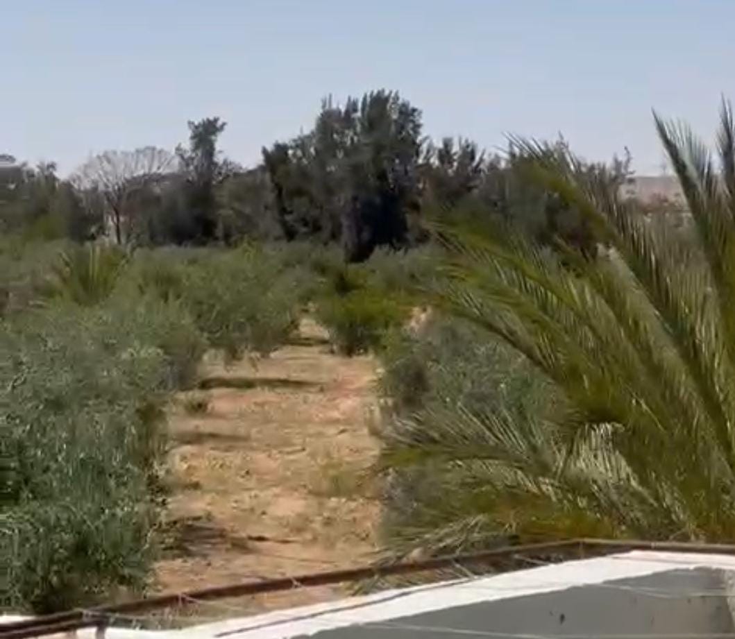 Gabes Sud Teboulbou Vente Surfaces Titre bleu 33