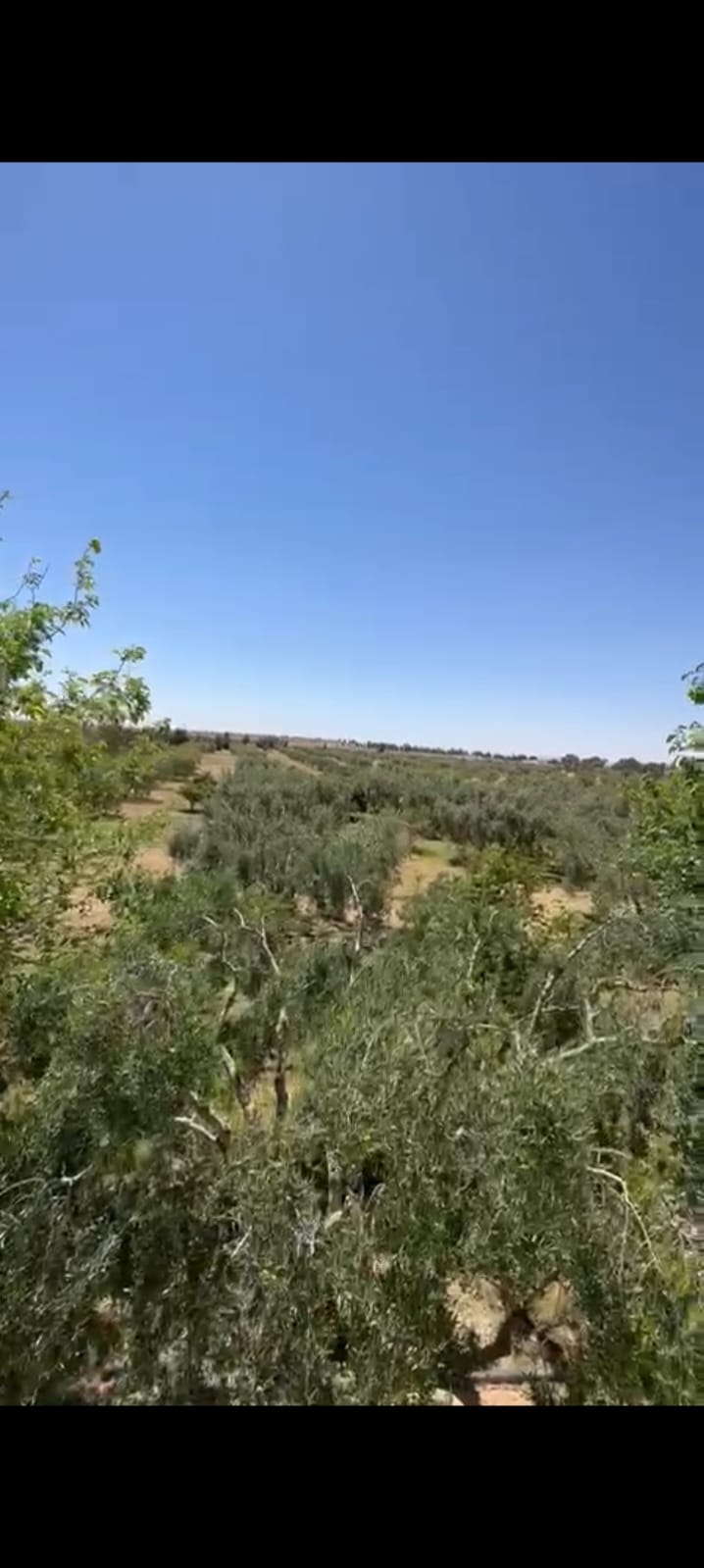 Gabes Sud Teboulbou Vente Surfaces Titre bleu 33