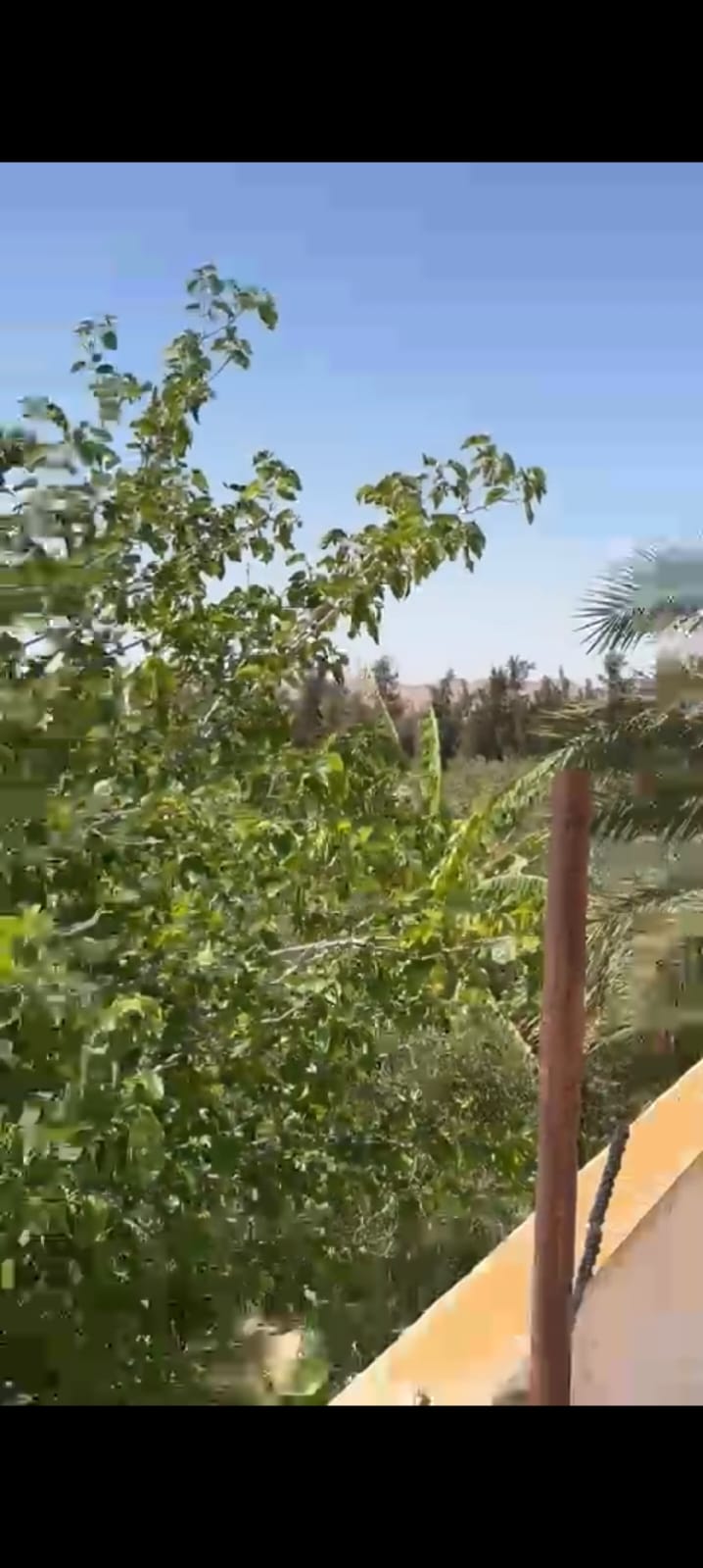 Vente Surfaces - Tunisie