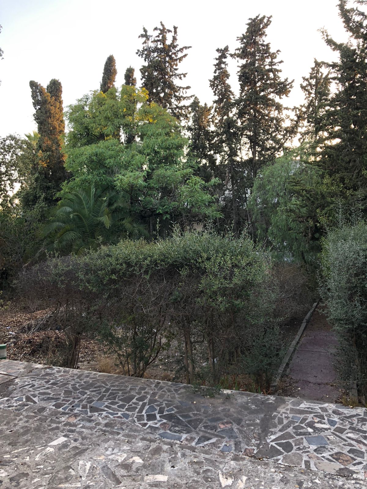 Vente Maisons - Tunisie