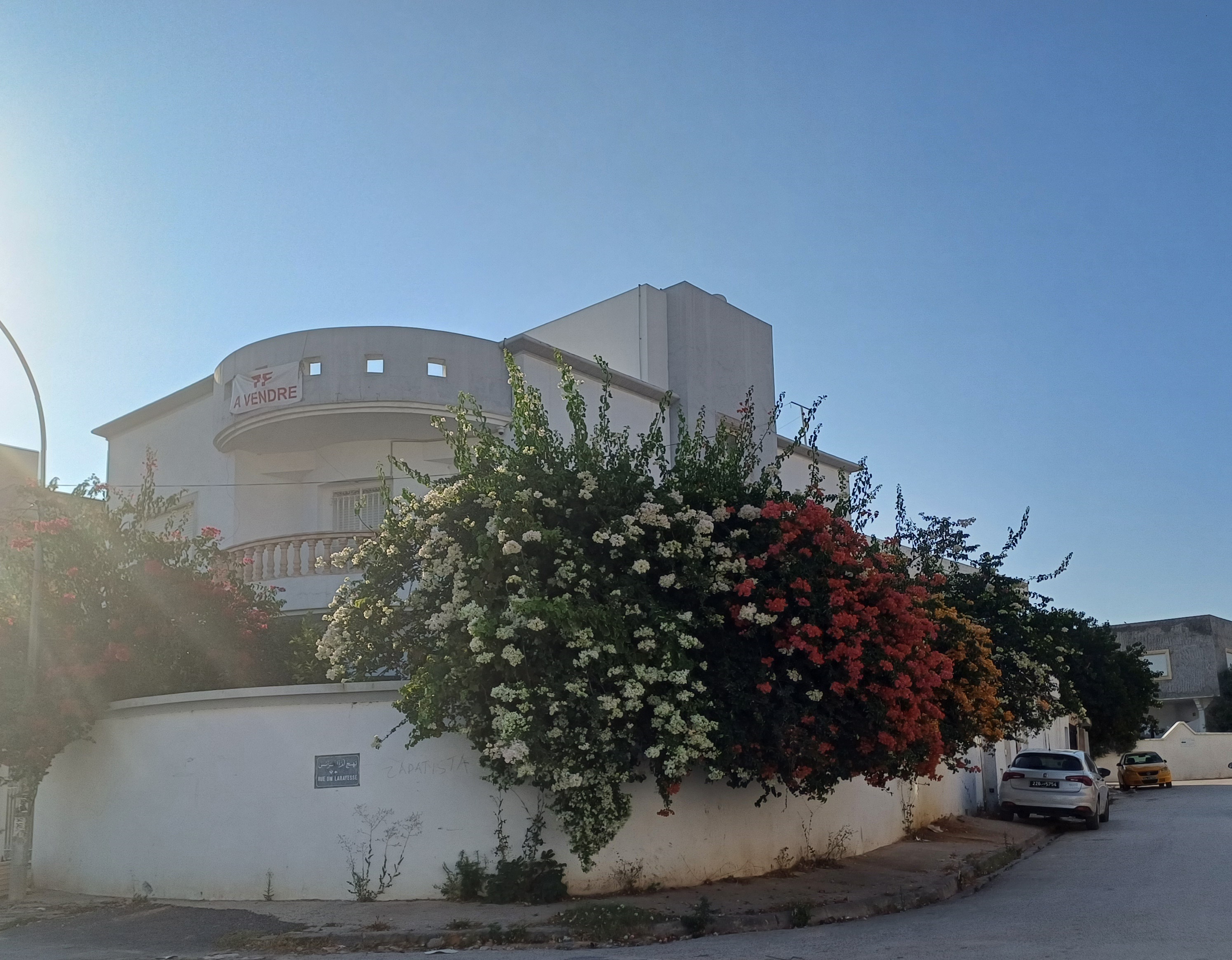 Vente Maisons - Tunisie