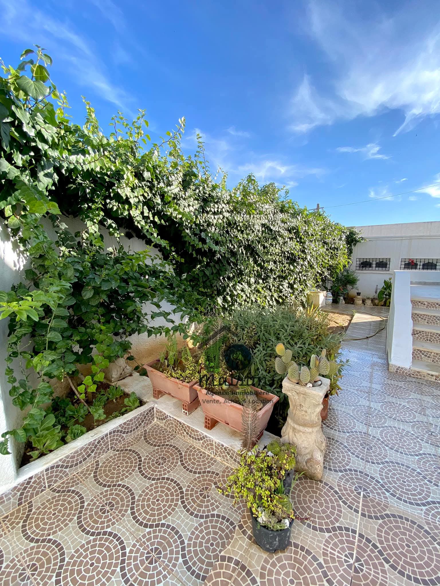 Vente Maisons - Tunisie