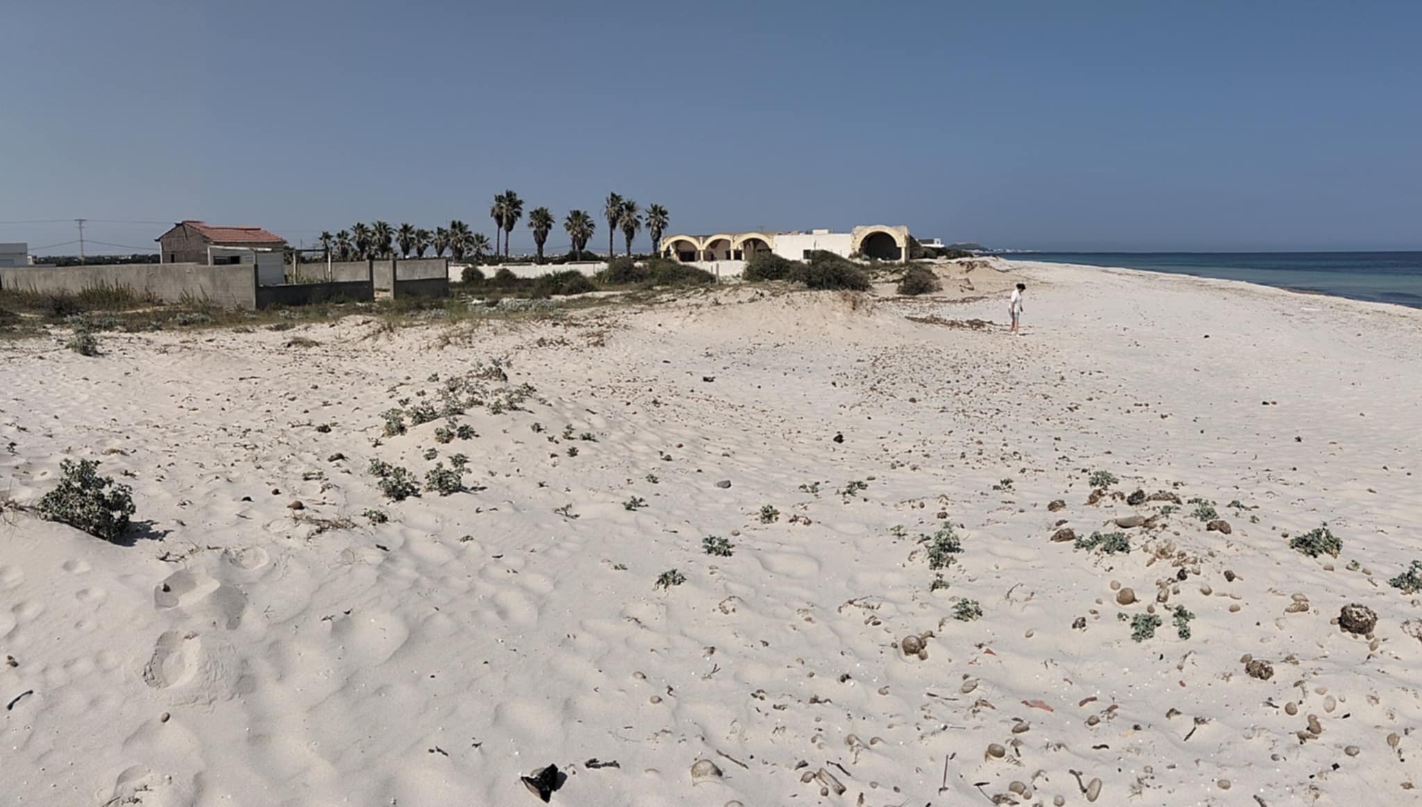 Vente Surfaces - Tunisie