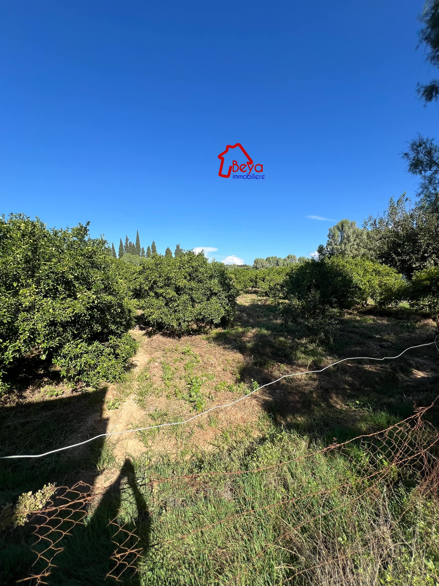 Soliman Soliman Terrain Terrain agricole Terrain rahma vtn0796