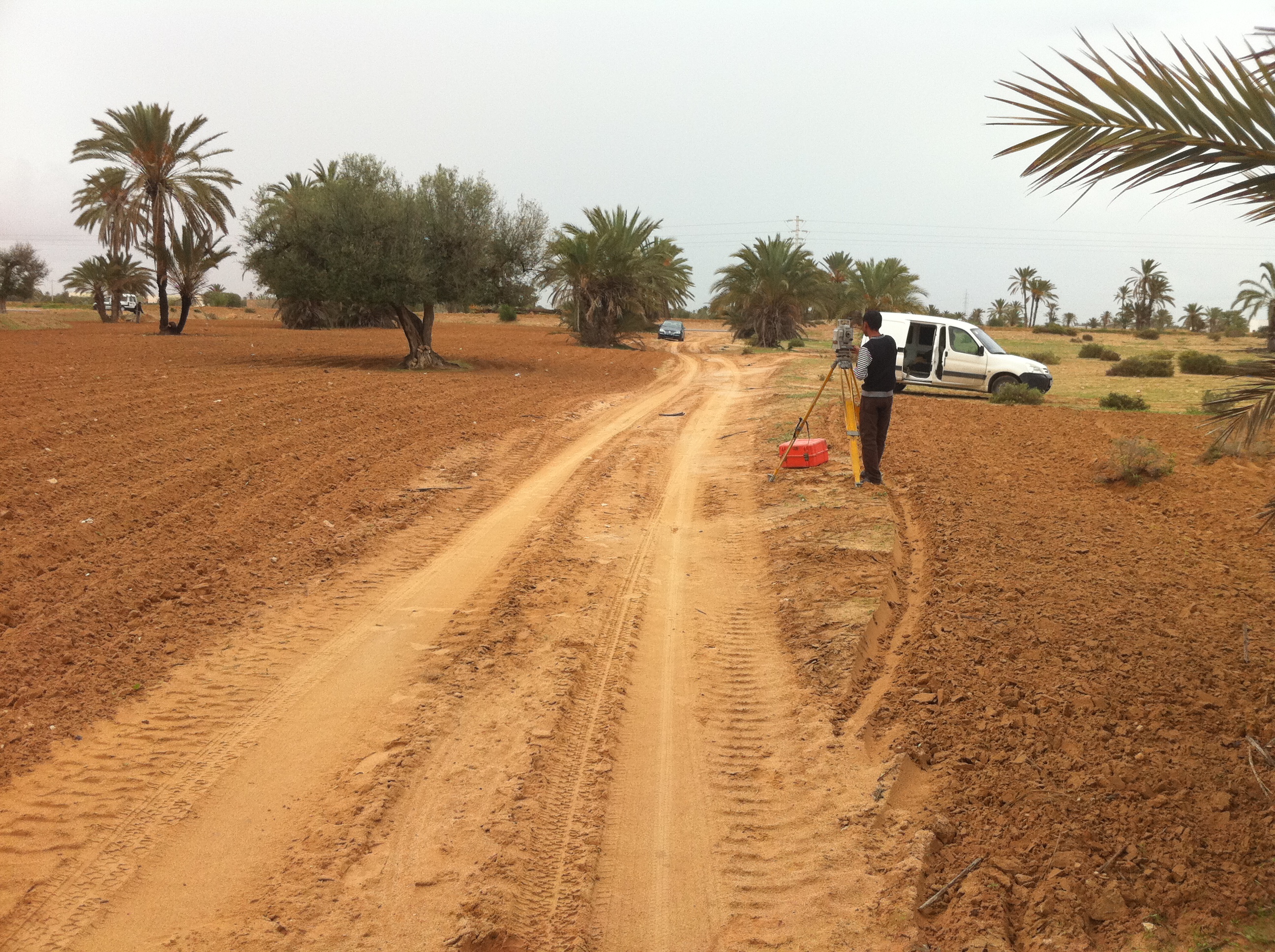 Djerba - Midoun Cedouikeche Terrain Terrain nu Vends terrain en premire position